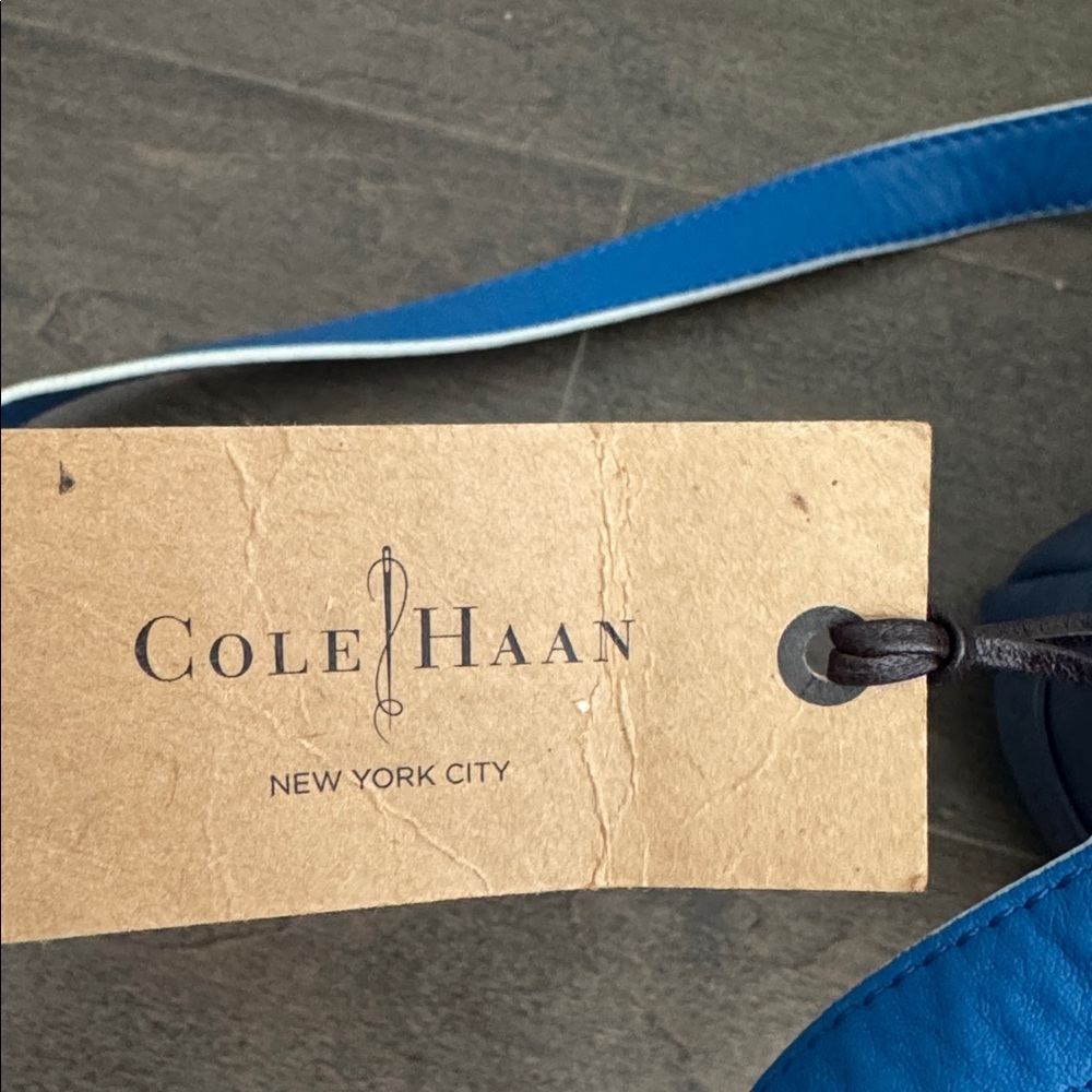 NWT Cole Haan Blue Leather Crossbody Bag Colorblock Adjustable Strap - Picture 6 of 6